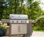 GENESIS II  SP-435 GBS, нерж. cталь купить в Екатеринбурге