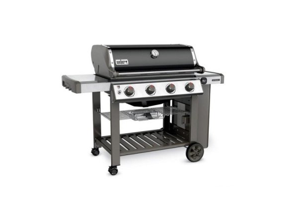 GENESIS II  E-410 GBS, Черный купить в Екатеринбурге