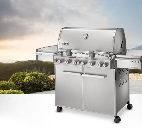 Weber Summit S-670, Стальной купить в Екатеринбурге