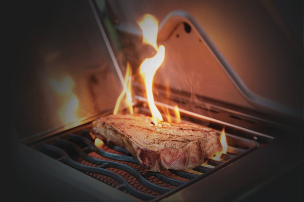 Гриль газовый Napoleon, Rogue 425 XT (Стальной, с ИК горелкой 2/3) купить в Екатеринбурге