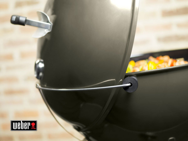 Master-Touch GBS C-5750, дымчатый купить в Екатеринбурге