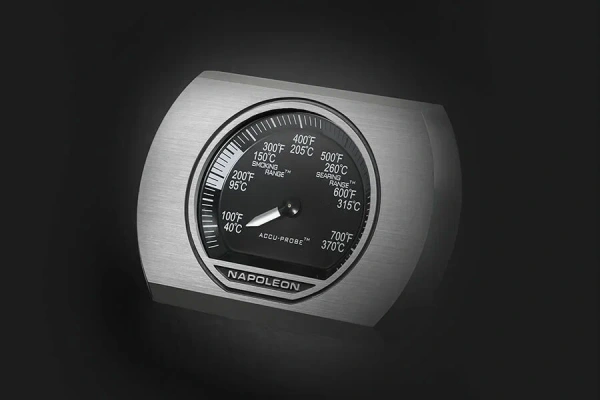 Гриль газовый Napoleon, Rogue 525 SB (Черный, с конфоркой) купить в Екатеринбурге