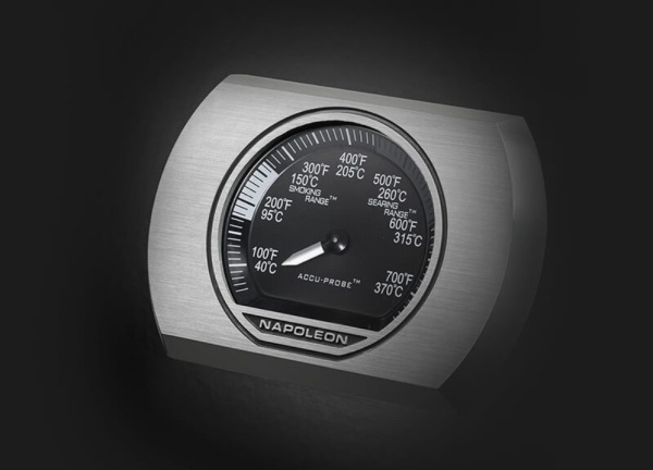 Rogue-525 XT (Стальной) купить в Екатеринбурге