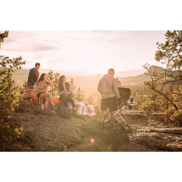 Traveler, Черный купить в Екатеринбурге