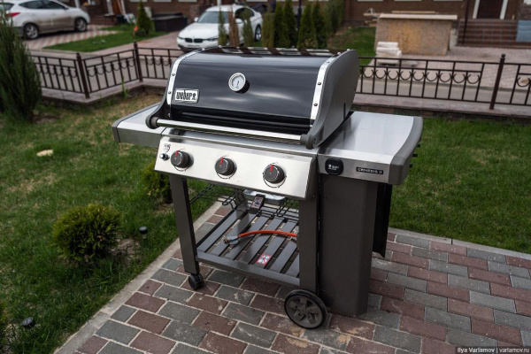 GENESIS II  E-310 GBS, Черный купить в Екатеринбурге